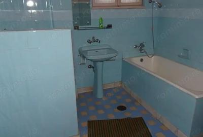 Vand apartament cu 4 camere cu garaj si beci in duplex in Deva, zona ultracentrala - 20