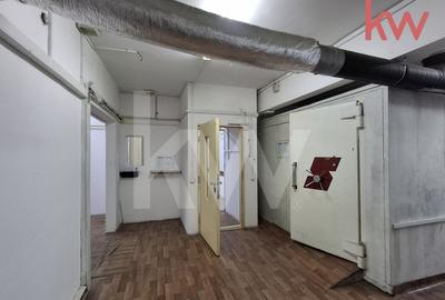 Spatiu la cheie, productie, depozit, birouri, tezaur - 6
