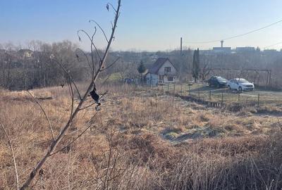 Spațiu comercial, în Mărgineni - 3