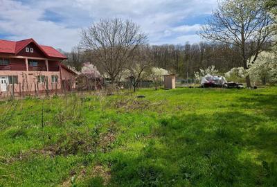 Teren de 753 mp, în Snagov - 2