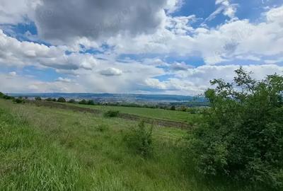 Teren în Central