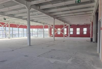 Colentina spatiu stradal 600mp - 1