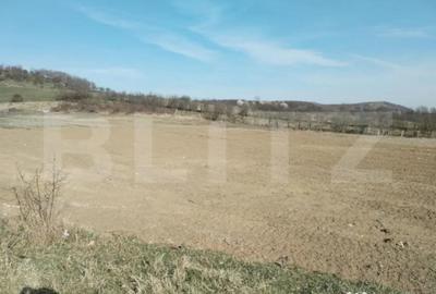 Teren de 90000 mp, în Central - 7