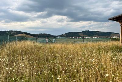 Vand teren intravilan - 515 in Sanpetru, Str. Catinei - 3