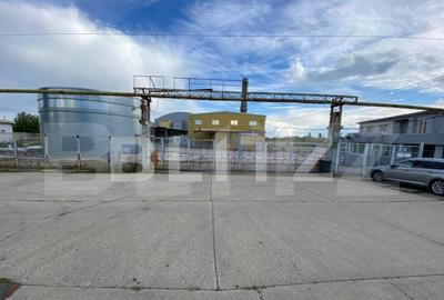 Hala+birouri, 15533mp utili, teren 21323mp, Freidorf - 20