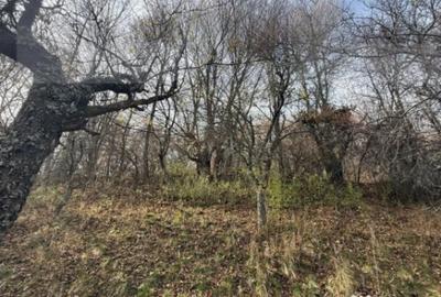 Teren de 20424 mp, în Cerbăl - 2