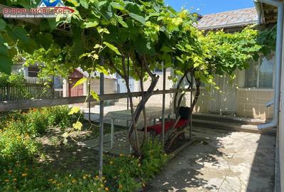 Casa de in localitatea Murighiol - 3