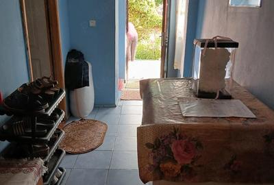 Casă cu 2 camere cu Teren 1200 Mp în Bucinișu - 5