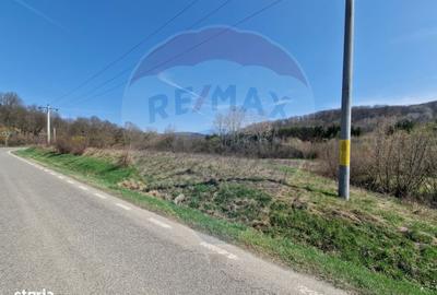 Teren de 9428 mp, în Mărgineni - 4