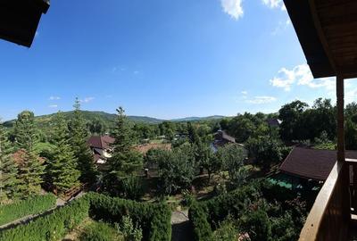 Vila superba de vanzare in Vintila Voda, Buzau D+P+1 si anexe - 39