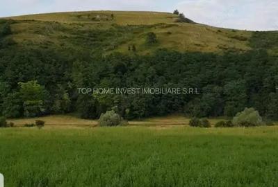 Exclusivitate! Teren intravilan in Luna de sus! - 6