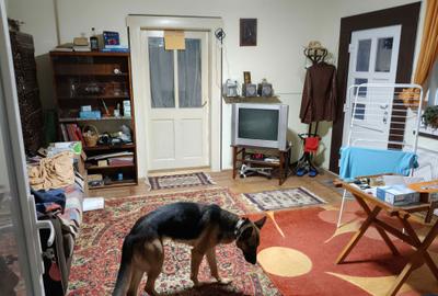 Casă cu 4 camere în Central - 4