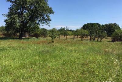 Casă cu 3 camere cu Teren 4500 Mp în Uda - 4