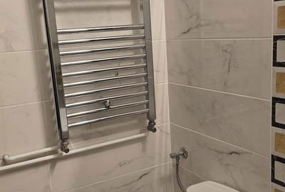 Garsonieră decomandată, mobilată în Calea Călărașilor - 11