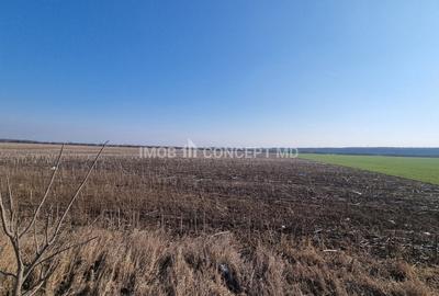 Vanzare Teren Extravilan 11000 mp, in Aricestii Rahtivani, Jud Prahova - 11