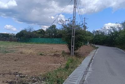 Terenuri cu suprafete intre 500 si 1500 mp in Baicoi, zona Liliesti. - 1