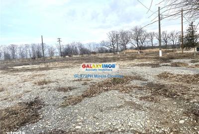 Teren de 46500 mp, în Ariceștii Rahtivani - 3