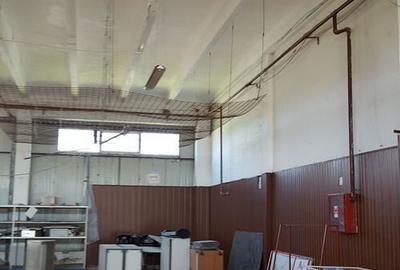 Spa?iu depozitare si productie Ciolpani - 8