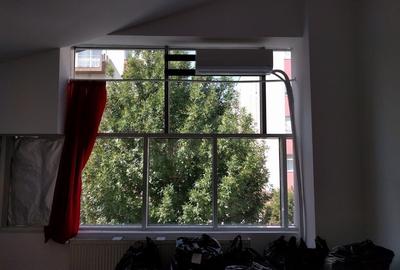 Theodor Pallady  300 mp - 7