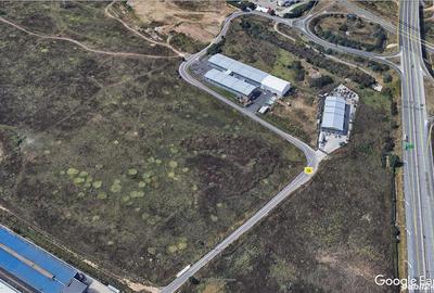 Teren de 17385 mp, în Manolache - 7