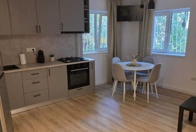 Garsonieră modernă cu centrală proprie, prima inchiriere - Unirii - 2