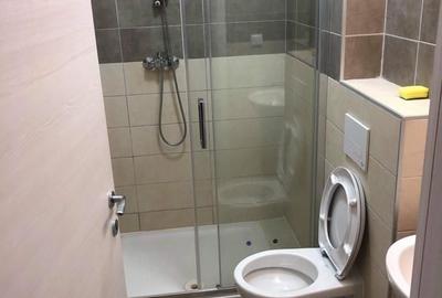 Apartament cu 3 camere decomandat, mobilat în Prelungirea Ghencea - 7