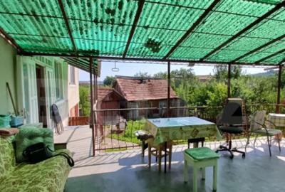 Casă cu 4 camere cu Teren 1860 Mp în Viișoara - 14