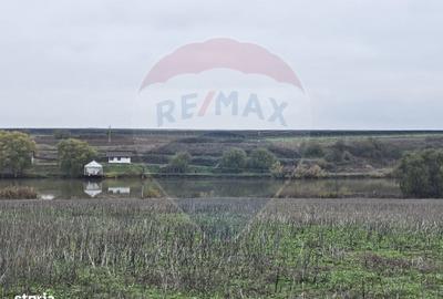 Teren de 129700 mp, în Iepurești - 12