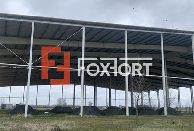 COMISION 0% Hala industriala 5500 mp utili zona de Nord Timisoara - ID V5143 - 14