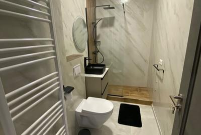 Apartament de închiriat, 2 camere, 50 mp, Horea zona UBB litere - 11