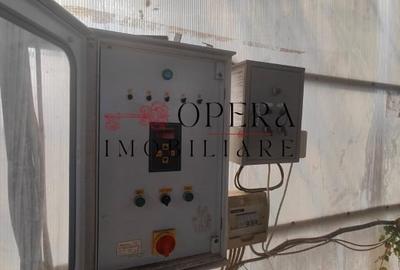 Teren intravilan 5000mp+Cladire265mp + Sera(2500mp), Rediu Aldei-Aroneanu - 2