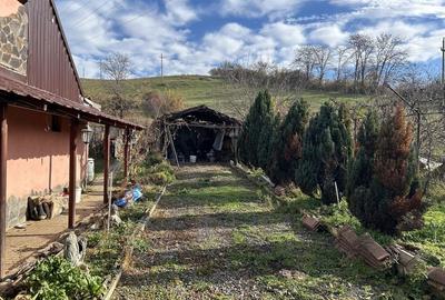 Casă cu 2 camere în Mureșeni - 6