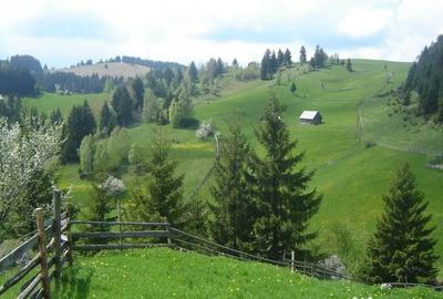 Teren de 1750 mp, în Fundățica