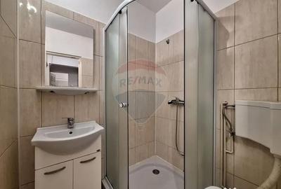 Apartament cu 3 camere decomandat în Sub Arini - 6