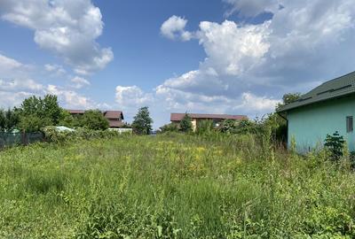 Ostratu Corbeanca - 4