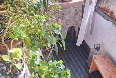 Apartament cu 2 camere semidecomandat în Ultracentral - 4
