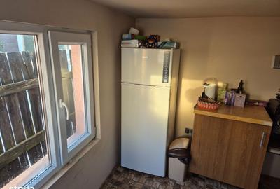 Casă cu 2 camere cu Teren 485 Mp în Criș - 10