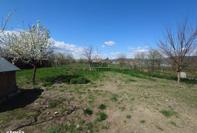 Casă cu 4 camere în Țebea