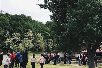 Transilvania Camping, domeniu de 14.400mp, Sanmarghita de Mures:2cladiri, aparta - 30