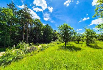 Teren intravilan Cotmeana Arges - 1