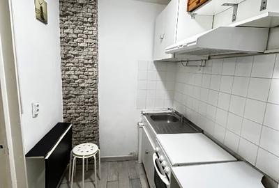 Lacul Tei -Teiul Doamnei Facultatea de Constructii - 10