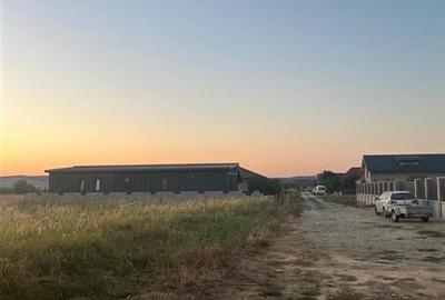 RECO Teren intravilan pentru casa Osorhei cu PUZ - 9
