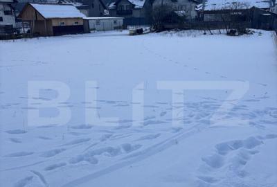 Teren de vanzare, 6000 mp + o casa batraneasca, in Vor - 3