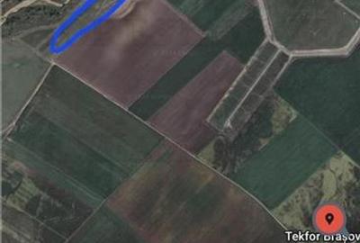 Teren Construcții extravilan de 4866 mp, în Exterior Est - 3