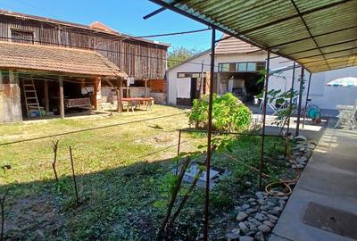 Casă cu 2 corpuri, Calea Severinului, Caransebeș - 3