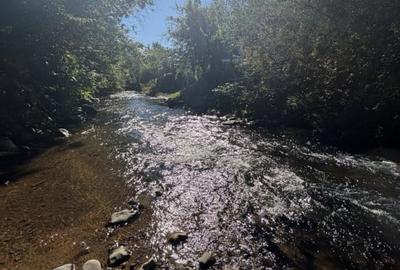 Cabana de vanzare  Firiza - 10