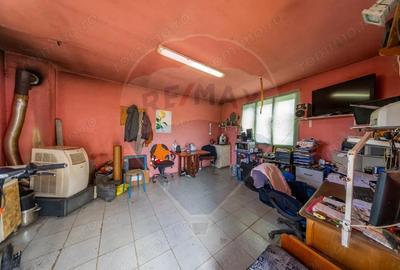 Spa?iu industrial cu potential de vanzare in Paulis,Arad - 11