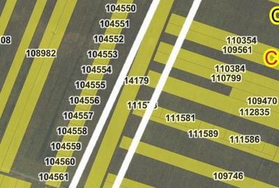 Teren de 8000 mp, în Exterior Vest - 3