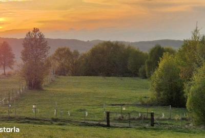 Teren de 7024 mp, în Ciucea - 1