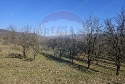 Teren de 4627 mp, în Giulești - 1